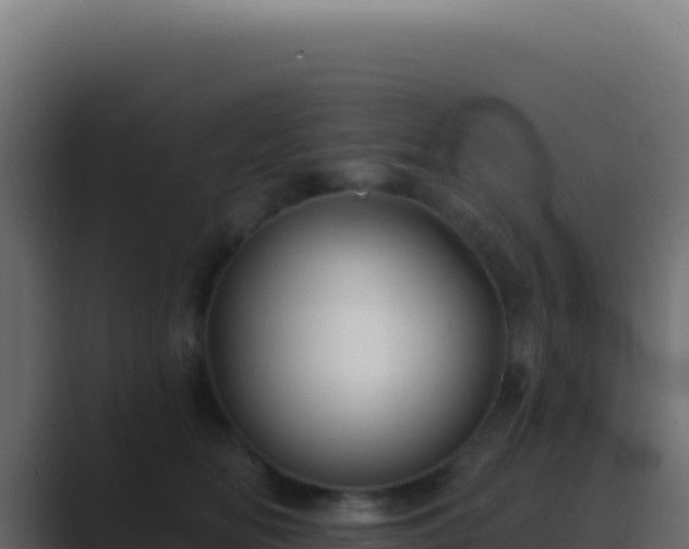 X0000089760518200706281646