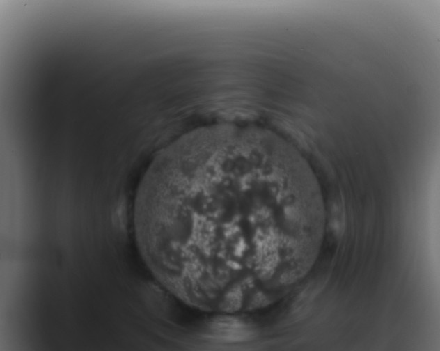 X0000089760519200706281646