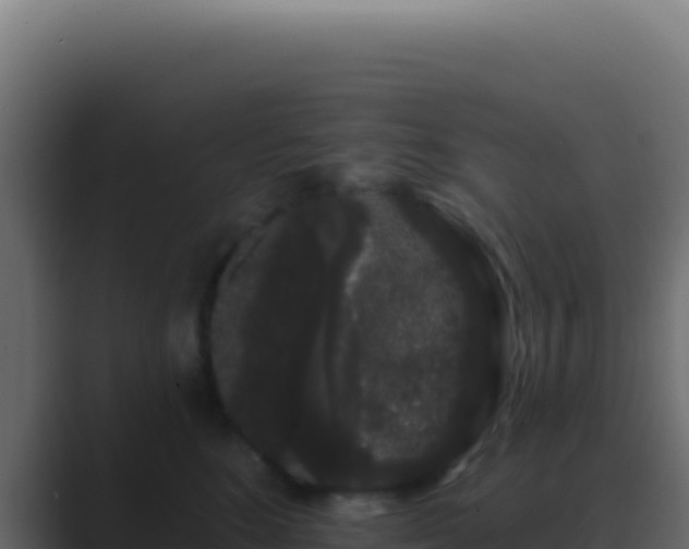 X0000089760520200706281646