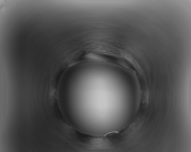 X0000089760521200706281646