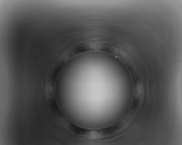 X0000089760522200706281646