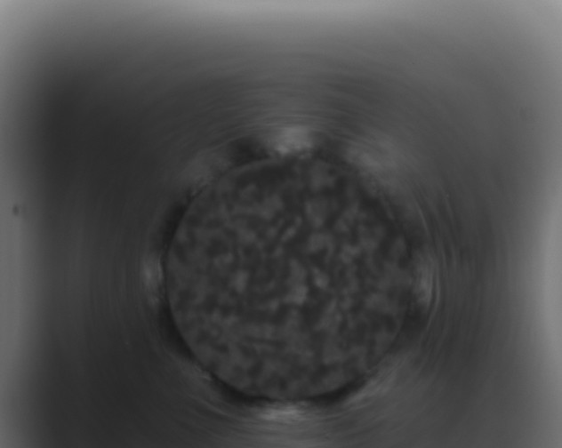 X0000089760523200706281646