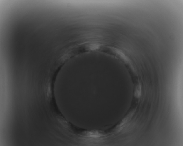 X0000089760524200706281646