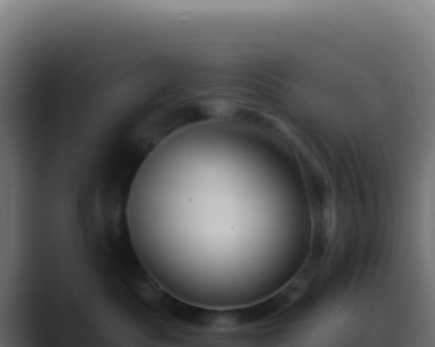 X0000089760525200706281646