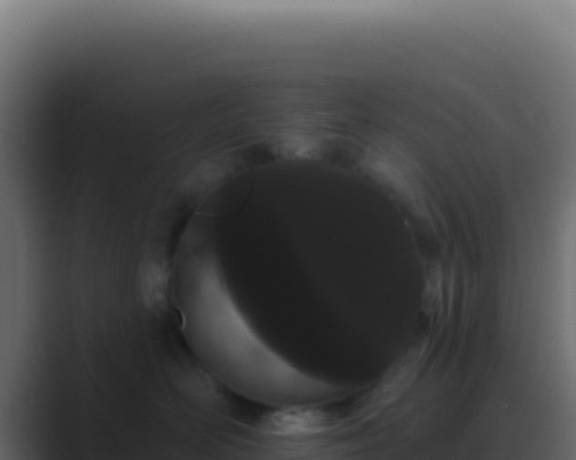 X0000089760526200706281646