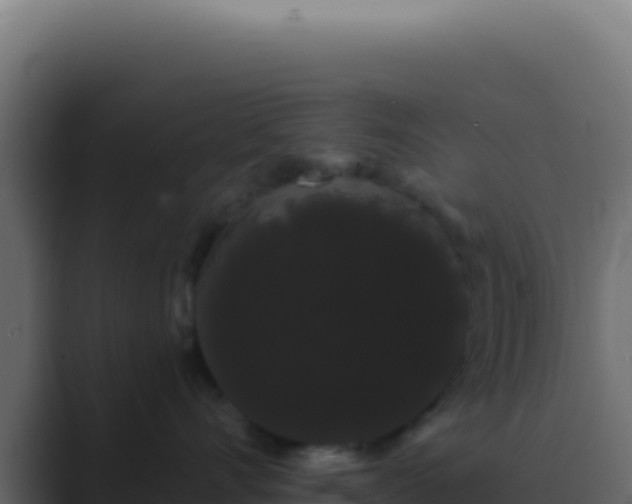 X0000089760528200706281646