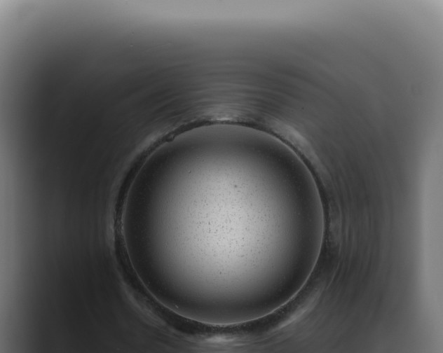 X0000089760530200706281645