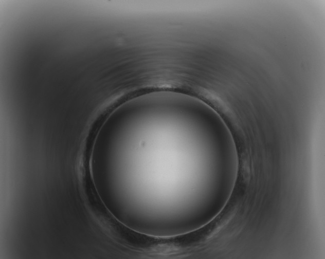 X0000089760536200706281645