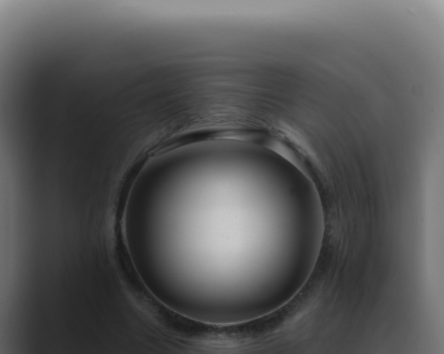 X0000089760538200706281645