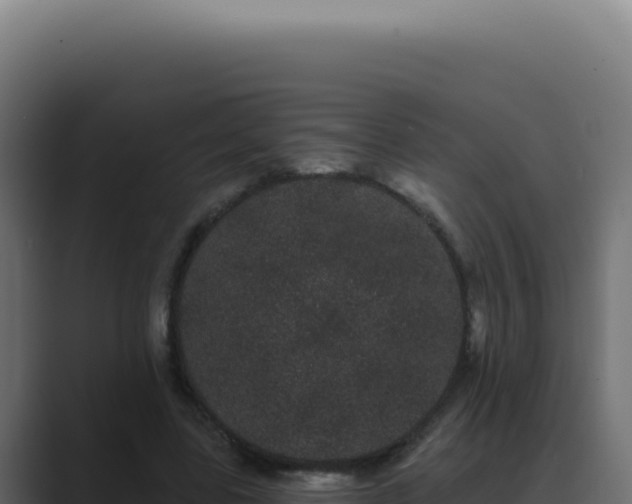 X0000089760539200706281645