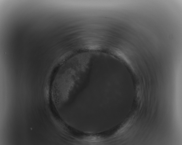 X0000089760542200706281645