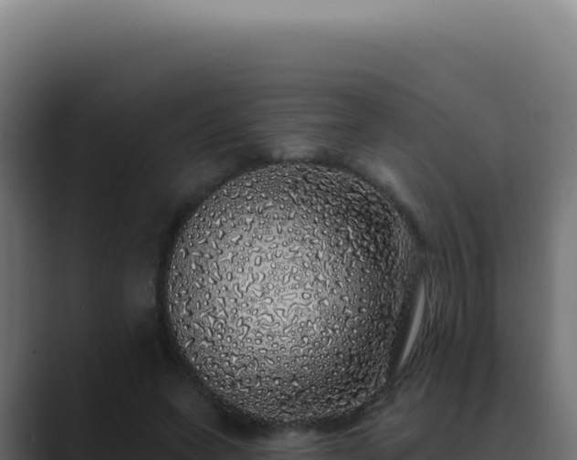 X0000089760543200706281645