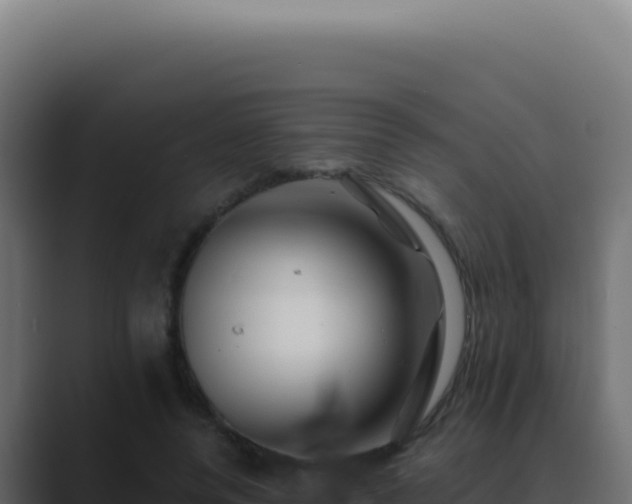 X0000089760544200706281645