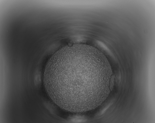 X0000089760546200706281645