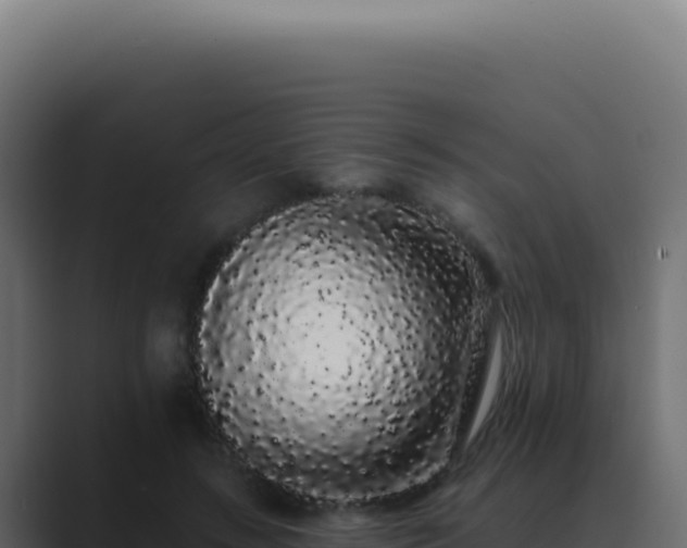 X0000089760547200706281645