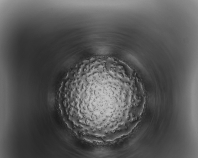 X0000089760549200706281645