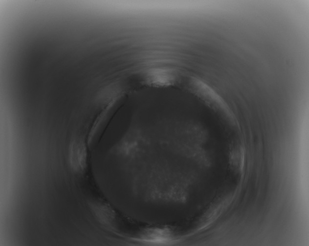 X0000089760552200706281645