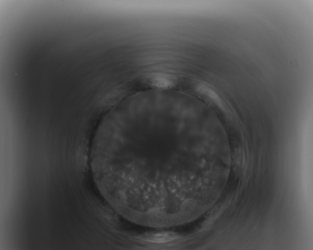 X0000089760553200706281645