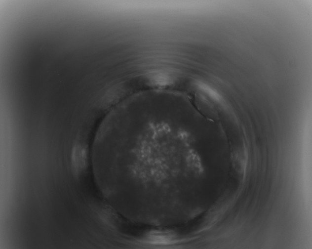 X0000089760556200706281645