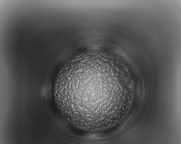 X0000089760557200706281645