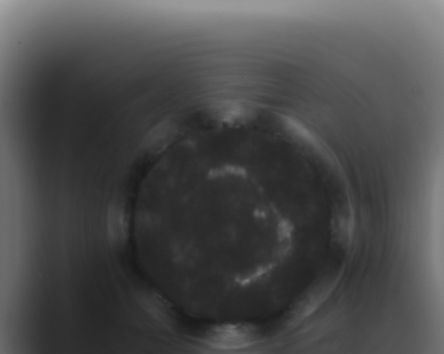 X0000089760558200706281645