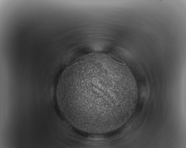 X0000089760559200706281646