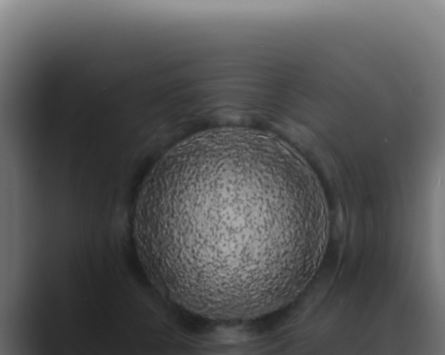 X0000089760560200706281646