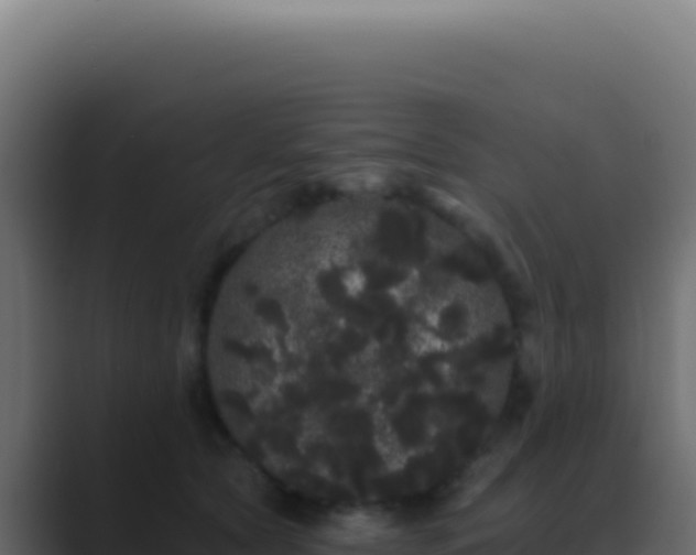 X0000089760561200706281646