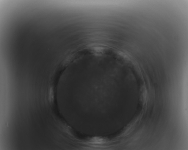 X0000089760562200706281646