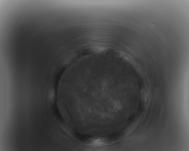 X0000089760564200706281646