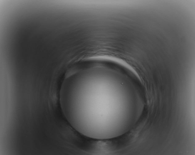 X0000089760566200706281646