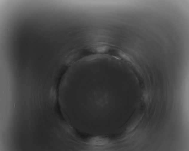 X0000089760568200706281646