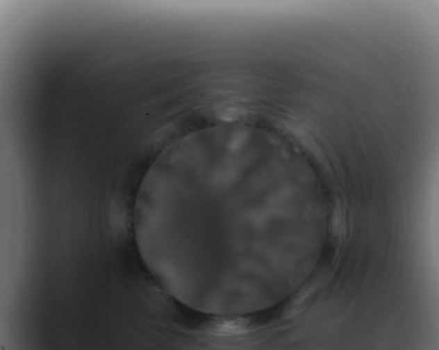 X0000089760569200706281646