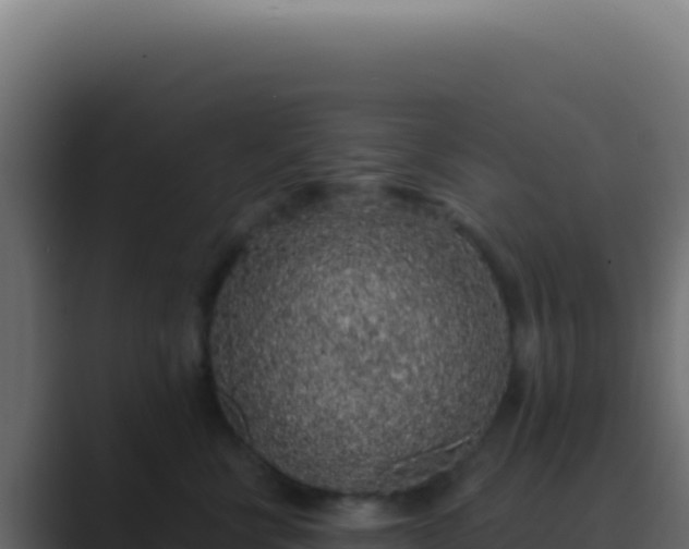 X0000089760570200706281646