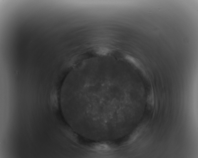 X0000089760572200706281646