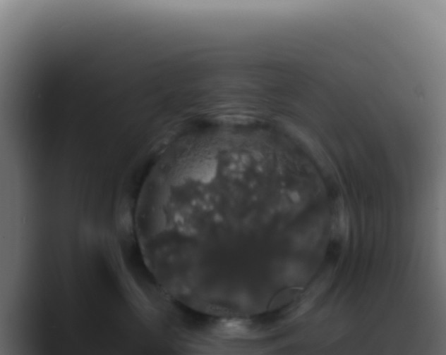 X0000089760573200706281646