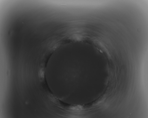 X0000089760576200706281646