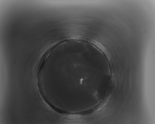 X0000089760577200706281645