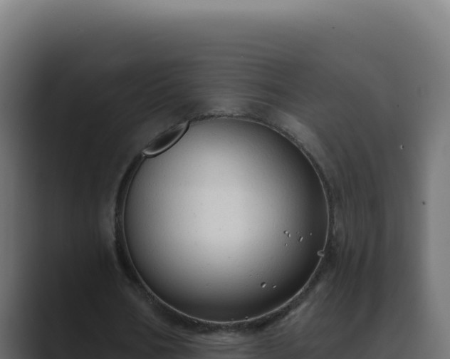 X0000089760578200706281645