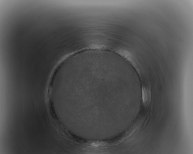 X0000089760579200706281645
