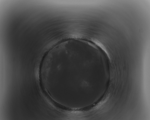 X0000089760581200706281645