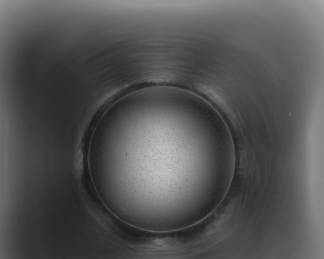 X0000089760584200706281645