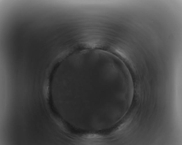 X0000089760590200706281645