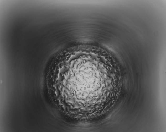 X0000089760591200706281645