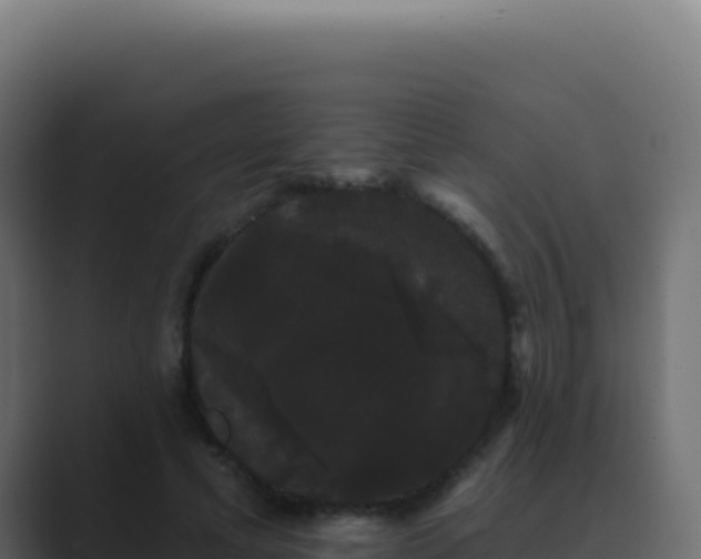 X0000089760593200706281645