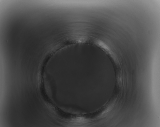 X0000089760594200706281645