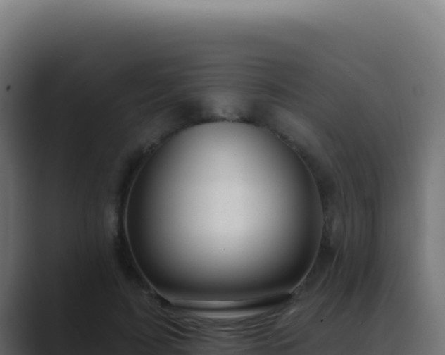 X0000089760595200706281645