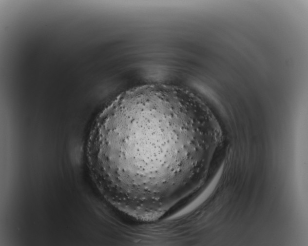 X0000089760596200706281645