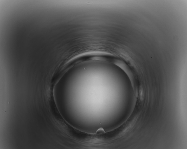 X0000089760597200706281645