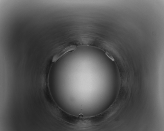 X0000089760599200706281645
